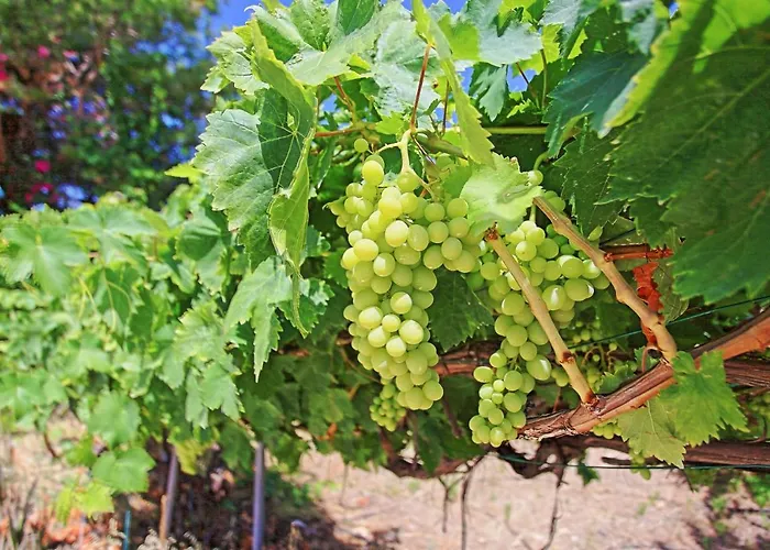 ヴィラ Marilena Sunset 2 Ayia Marina